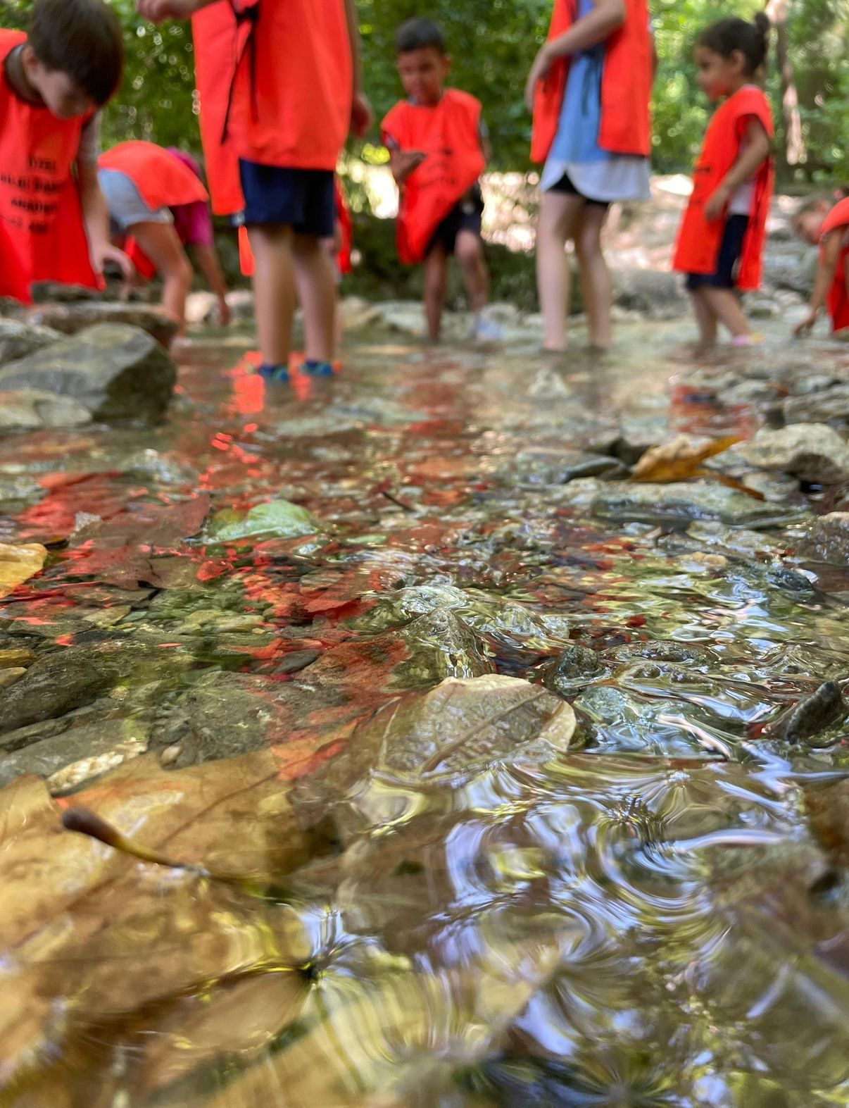 Özel Bilgi Bahçem Anaokulu 